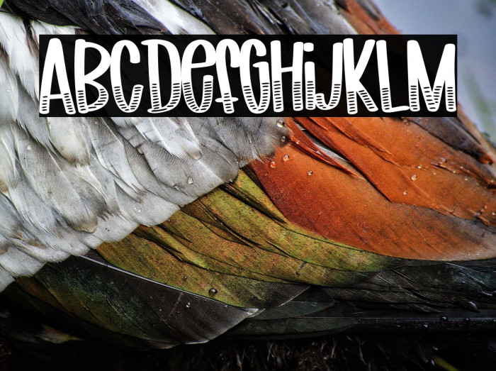 FB-Leonardo Example 1