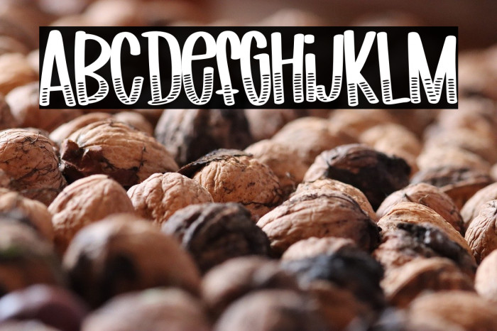 FB-Leonardo Example 2