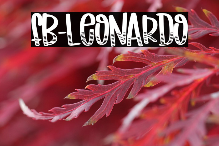 FB-Leonardo Example 2