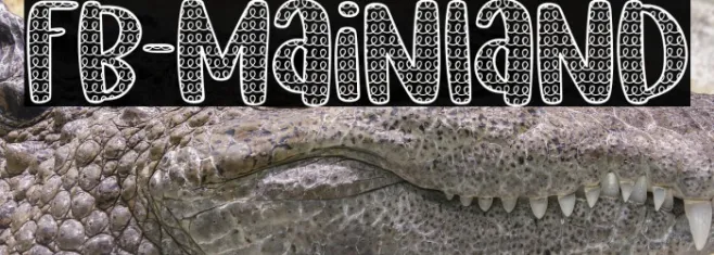 FB-Mainland Example 2