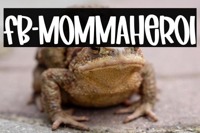 FB-MommaHero1 Example 1