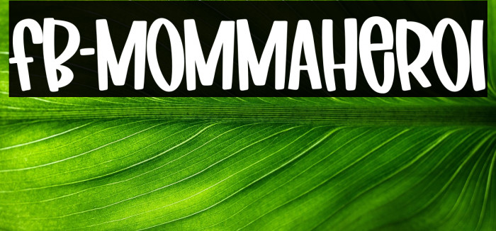 FB-MommaHero1 Example 3