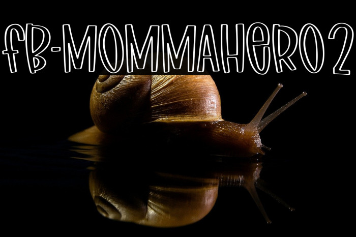 FB-MommaHero2 Example 2