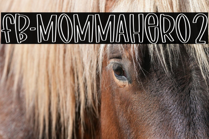 FB-MommaHero2 Example 3