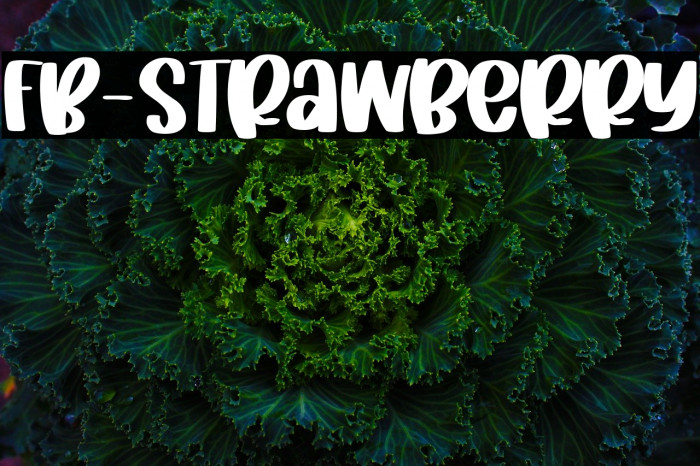 FB-Strawberry Font examples