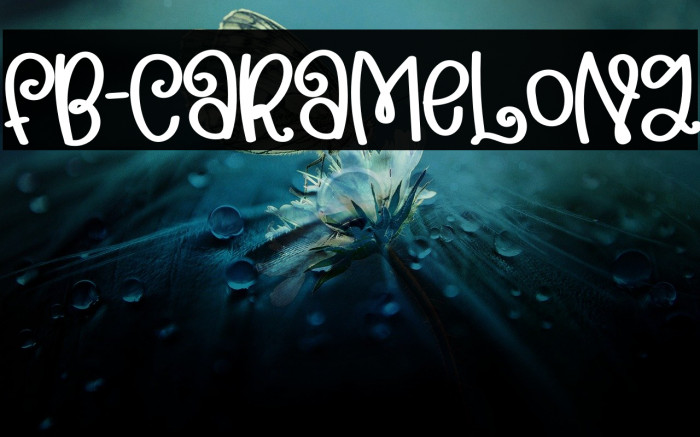 FB-caramelong Font examples
