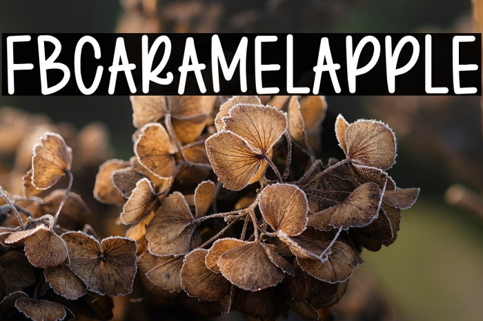FBCaramelApple Font examples