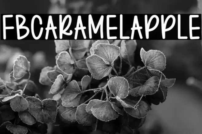 FBCaramelApple Fuentes examples