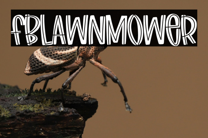FBLawnmower Example 1