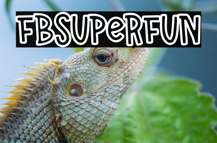 FBSuperFun Example 2