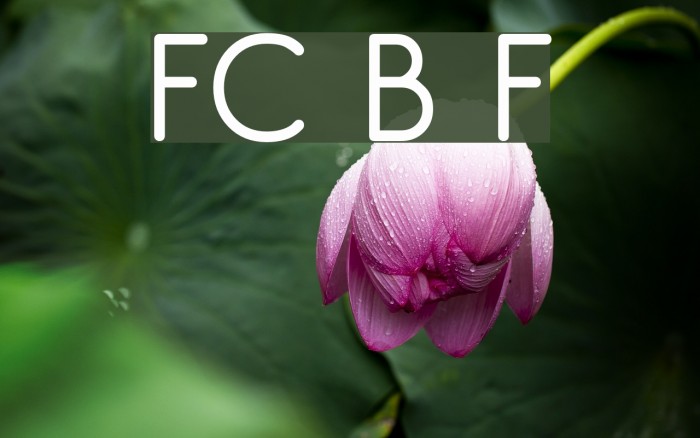 FC Basic Font Font examples