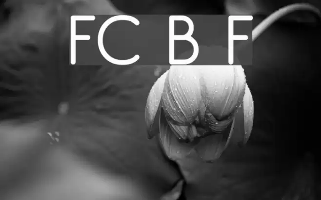 FC Basic Font Fonte examples