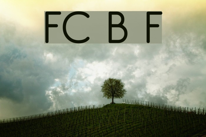 FC Basic Font Font examples