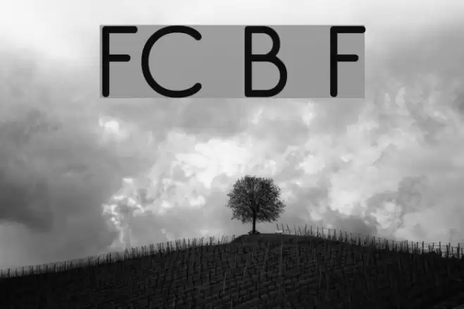 FC Basic Font Fonte examples