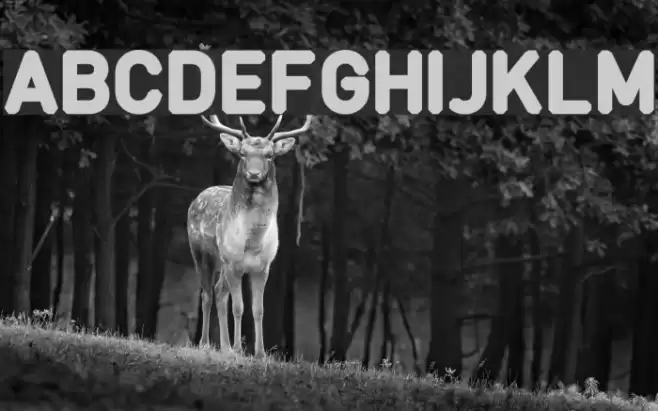 Fcraft Borgo Font examples