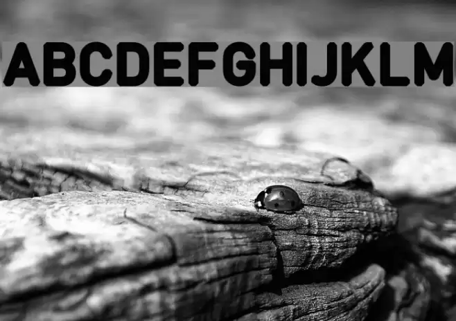 Fcraft Borgo Font examples