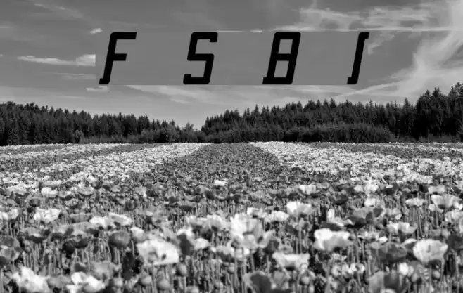 Fcraft Sidarta Bold Italic Font examples