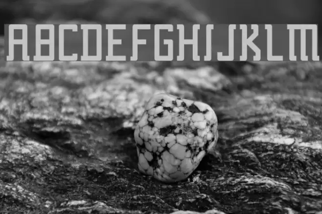 Fcraft Sidarta Bold Font examples