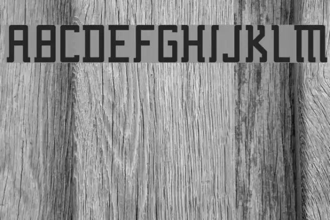 Fcraft Sidarta Bold Font examples