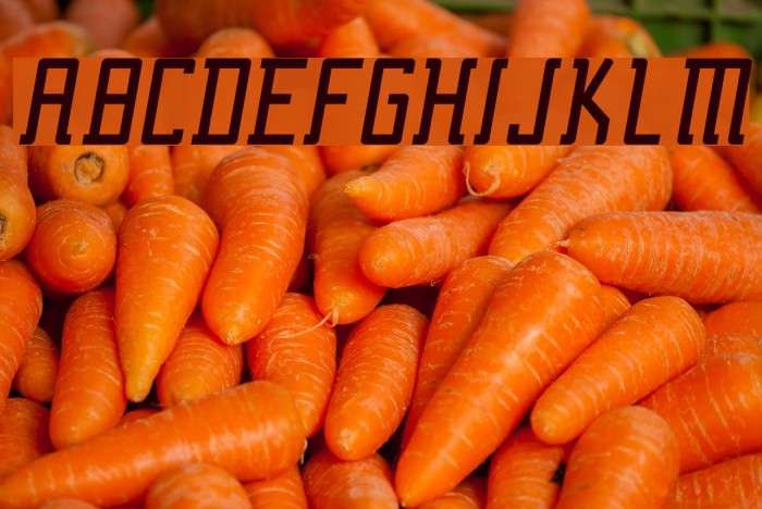 Fcraft Sidarta Italic Example 2