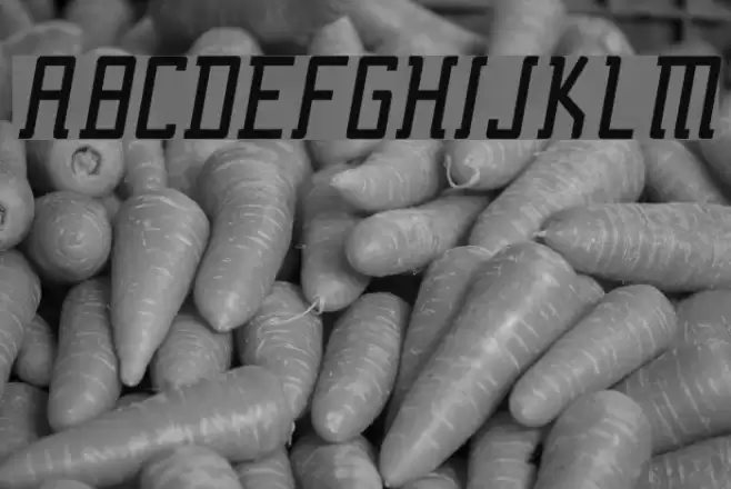 Fcraft Sidarta Italic Font examples