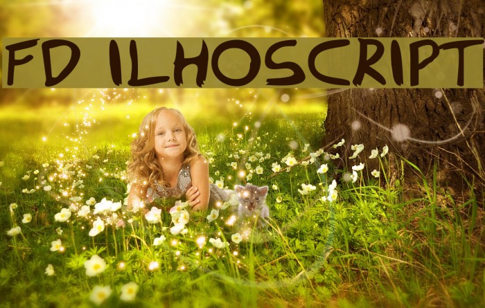 FD Ilhoscript Font examples