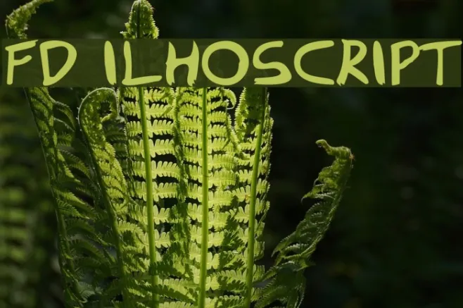 FD Ilhoscript Example 3