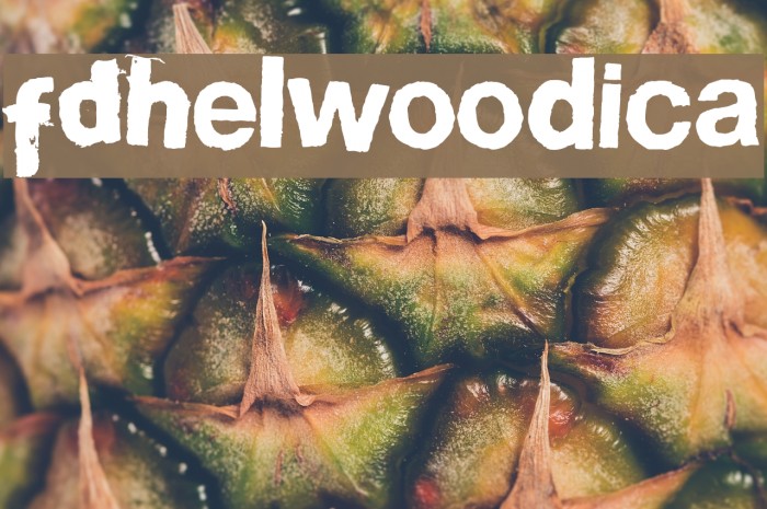 FDHelwoodica Font examples