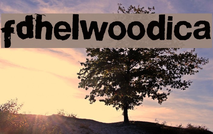 FDHelwoodica Font examples