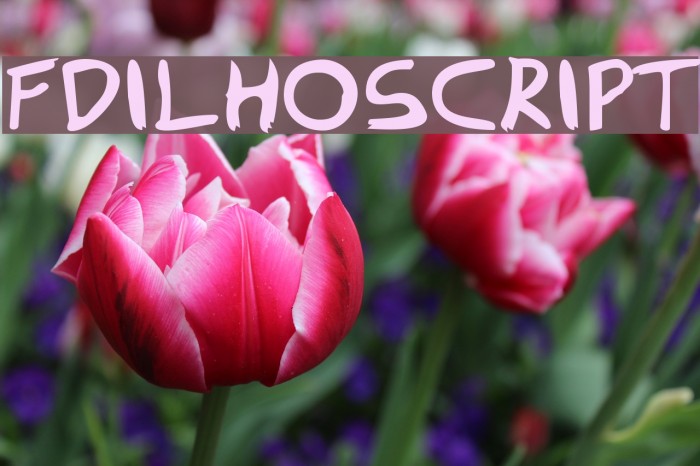 FDIlhoscript Font examples