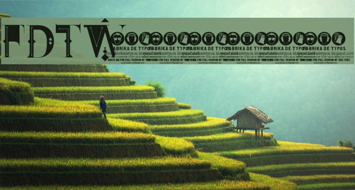 FDT_Wonderland Example 1