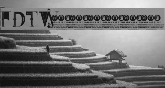 FDT_Wonderland Font examples