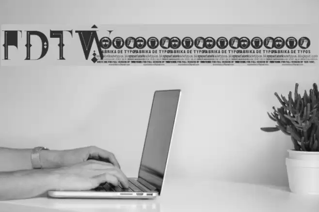 FDT_Wonderland Font examples