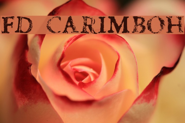 fd carimboh Font examples