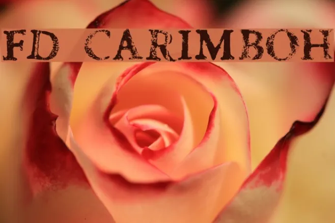 fd carimboh Example 2