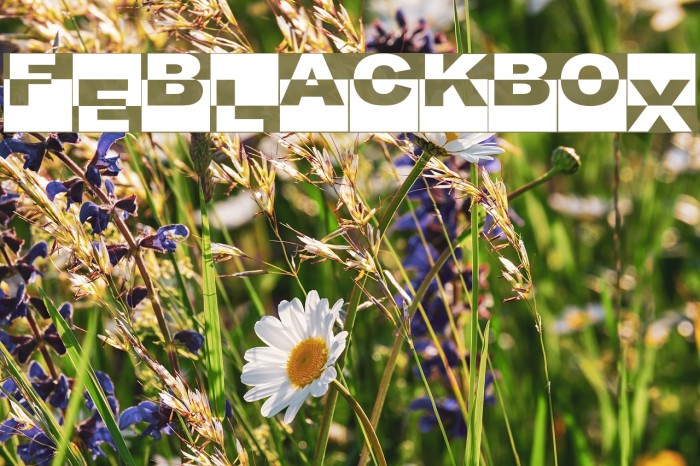 FE-BlackBox Font examples