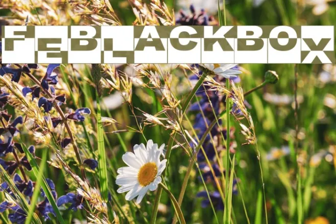 FE-BlackBox Example 2