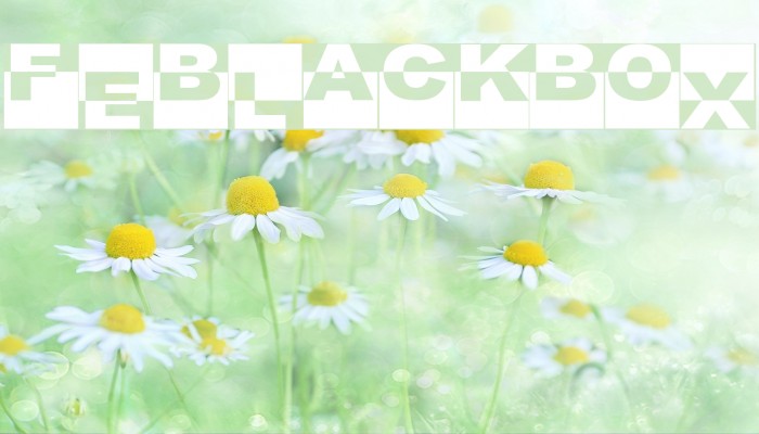 FE-BlackBox Font examples