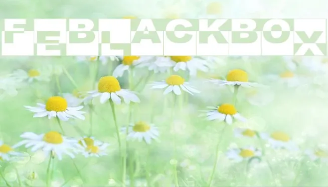 FE-BlackBox Example 3