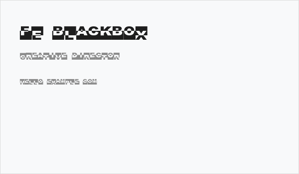 FE-BlackBox Business Card