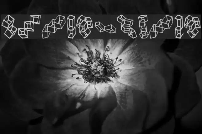 FE-BoxinaBox Font examples