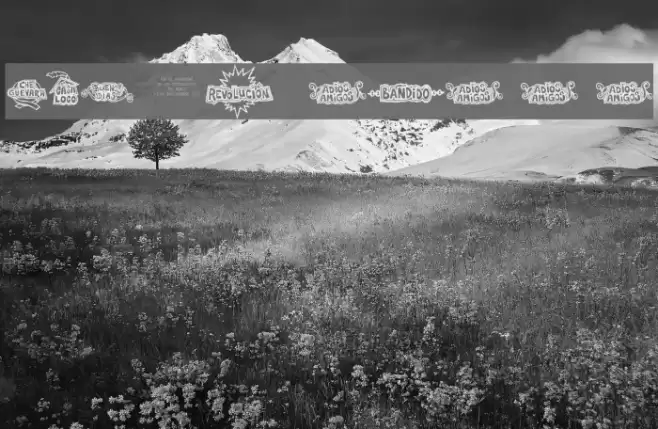 FE-CheVivaBanana Font examples