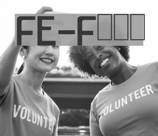 FE-Font Font examples