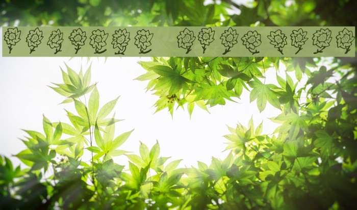 FE-Maja'sFlowers Font examples