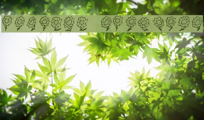 FE-Maja'sFlowers Example 1