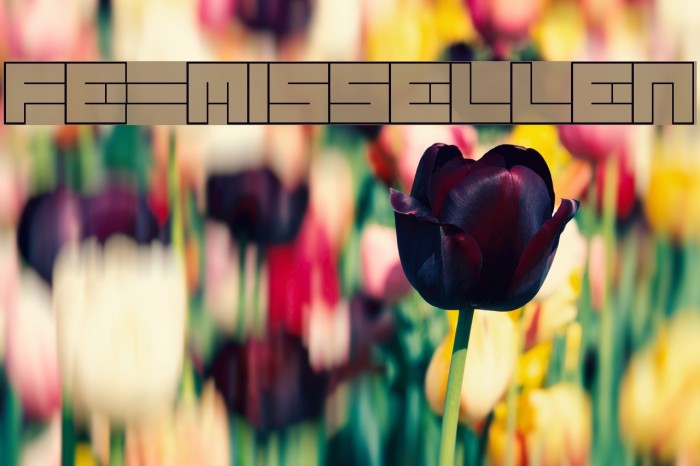 FE-MissEllen Font examples