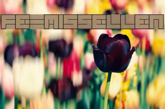 FE-MissEllen Example 1