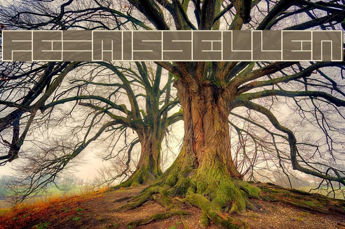 FE-MissEllen Font examples