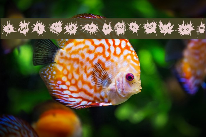 fe-nofear 字体 examples