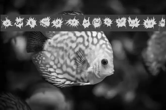 FE-NoFear Font examples